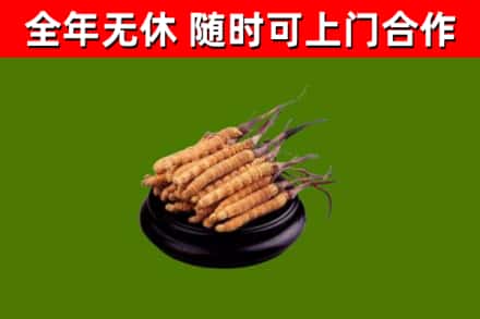 隆德烟酒回收冬虫夏草.jpg